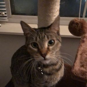 Meet your Posher, Erin